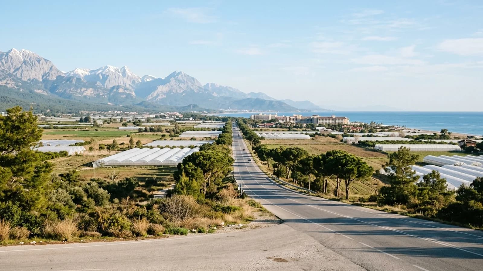 A straight road lined with pines runs through Serik fields during an airport transfer to Belek, with mountains behind.